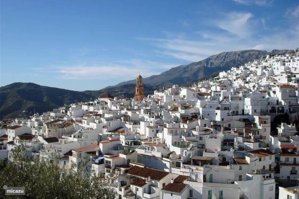 Casa Delfin! Large With Private Pool & Mountain Views *